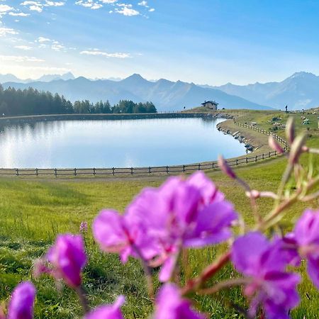 Alpine Dream House - Chalet Грессан Екстер'єр фото
